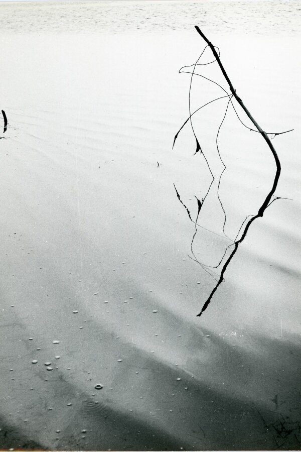 Camargue inconnue, Compagne de Massy, „Creation Photographique“, 18 bis, rue Gambetta, Massy